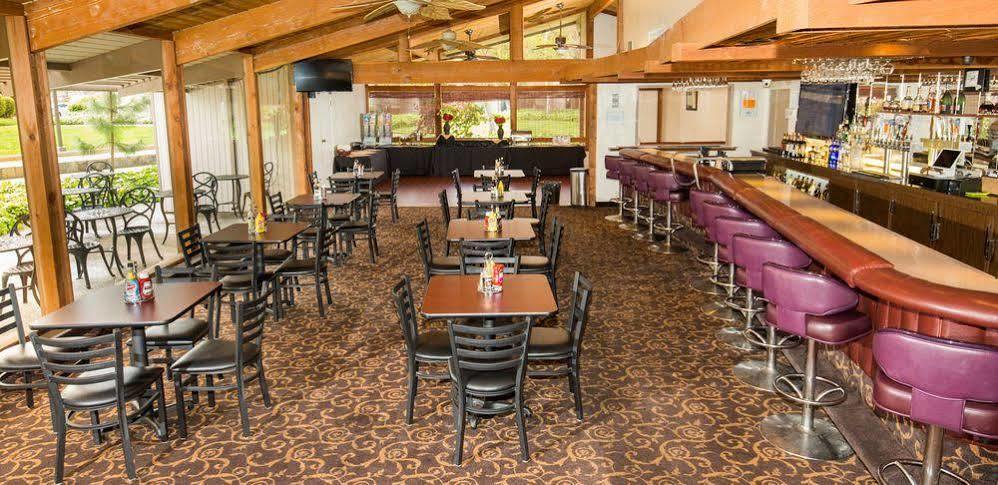 Los Gatos Lodge Kültér fotó